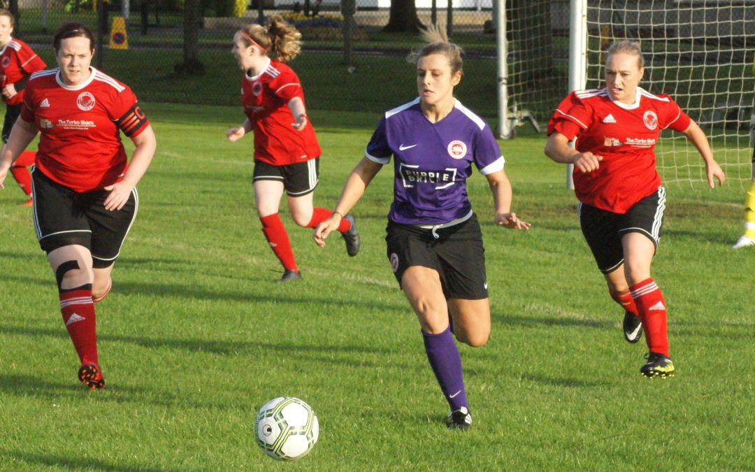 Doherty Double Seals Promotion