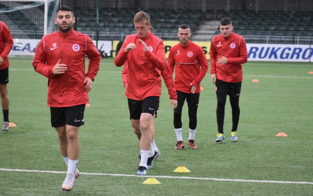 Supporters are key to hopes of European progress – McDaid