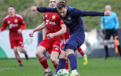 Larne fall to Portadown defeat
